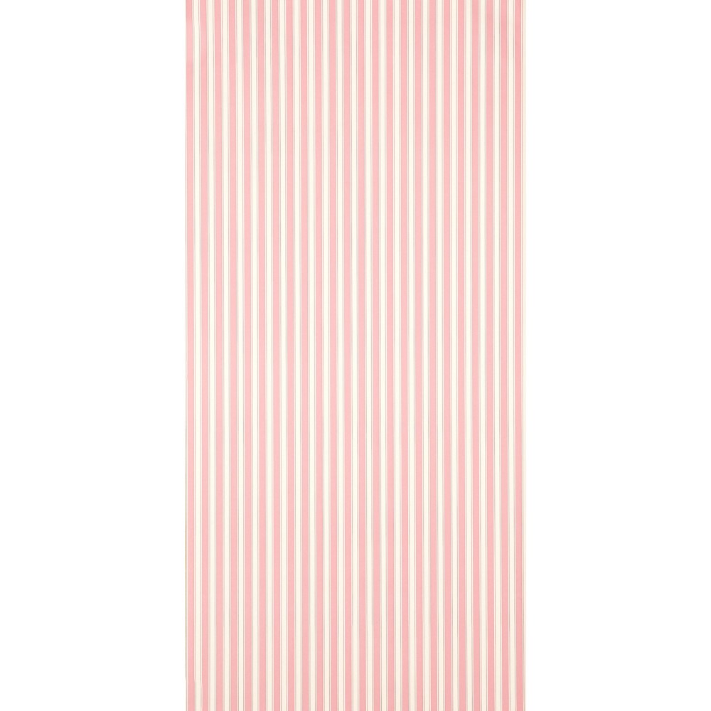 New Tiger Stripe Wallpaper 101 by Sanderson in Rose Ivory